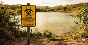 A famosa “ameba comedora de cérebros” não é a única; O novo medo é um grupo inteiro de micróbios que vivem na água e no solo e já estão ganhando terreno com as mudanças climáticas