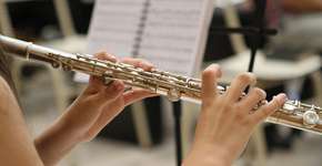 Foto: (Imagem de Brenda Geisse por Pixabay)