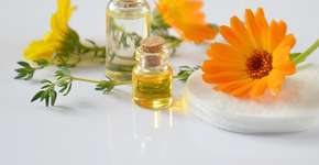 Corpo (com) ciência