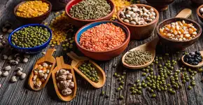 Foto: (Imagem sem texto alternativo disponivel ID [2756658])