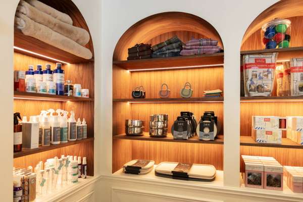 Espaço dedicado ao banho e cuidados estéticos para cães