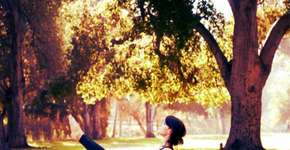 Parque da Água Branca recebe aulas gratuitas de Yoga, Pilates, Boxe, Dança e mais