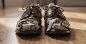 Foto: (Imagem sem texto alternativo disponivel ID [2738414])