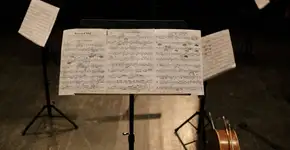 Foto: (cottonbro studio/Pexels)