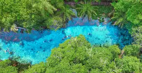 6 atrativos em Bonito perfeitos para visitar no fim do verão