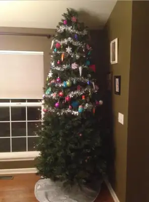 Essa pessoa decidiu não lutar contra a natureza de seu pet e deixou metade da árvore para ele, enquanto os enfeites ficaram bem longe de seu alcance.