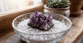 Foto: (Imagem sem texto alternativo disponivel ID [2769337])