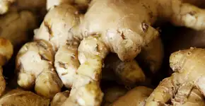 Gengibre ajuda a acelerar a perda de peso