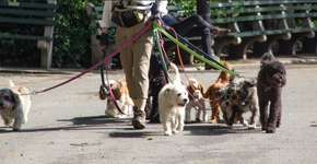 Foto: (Imagem sem texto alternativo disponivel ID [1627312])