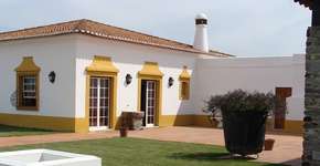 Foto: (Divulgação)