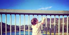 Foto: (Imagem sem texto alternativo disponivel ID [988622])