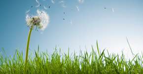 Foto: (Getty Images/OJO Images RF)