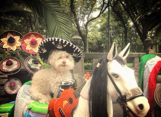 Chapultepec (Cidade de México)