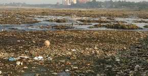 Foto: (Imagem sem texto alternativo disponivel ID [592240])