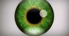 Foto: (Imagem sem texto alternativo disponivel ID [510565])