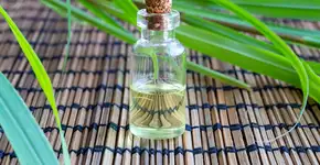 Foto: (iStock/Madeleine_Steinbach)