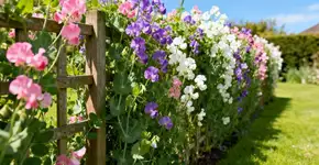 Foto: (Imagem sem texto alternativo disponivel ID [2658312])