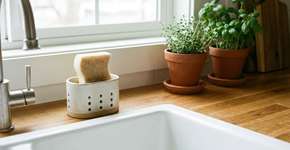 Soube tarde de mais que a esponja de prato não deve ser deixada molhada sobre a pia