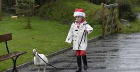 Foto: (Imagem sem texto alternativo disponivel ID [1004391])