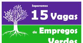 Veja 15 oportunidades de emprego na área de sustentabilidade