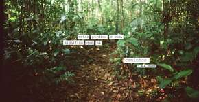 Foto: (Imagem sem texto alternativo disponivel ID [400520])