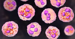 Denúncia de surto de meningite em Maceió assusta; Secretaria esclarece