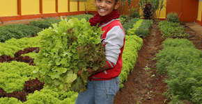 Foto: (Imagem sem texto alternativo disponivel ID [1606374])