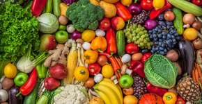 Foto: (iStock/Bojsha65)