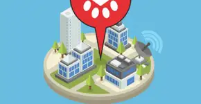 App usa experiência do game Pokémon Go para salvar animais