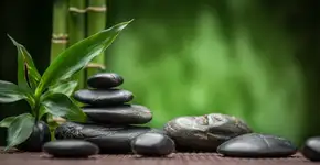 Energize sua casa com Feng Shui: 15 segredos para harmonia e bem-estar