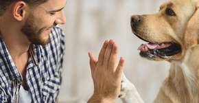 Pessoas gostam mais de cães do que de humanos, diz pesquisa