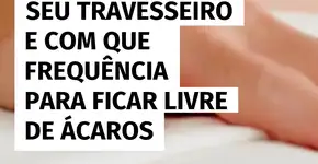 Como lavar o travesseiro e se livrar dos ácaros