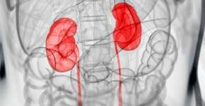 Foto: (Imagem sem texto alternativo disponivel ID [1862786])