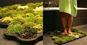 Foto: (Imagem sem texto alternativo disponivel ID [898483])