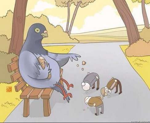 Desenhos fazem crítica da relação homem/animal (Imagem: Divulgação)