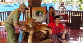 Foto: (Imagem sem texto alternativo disponivel ID [1084695])