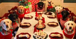 Foto: (Imagem sem texto alternativo disponivel ID [1184689])