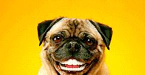 Foto: (Imagem sem texto alternativo disponivel ID [230179])