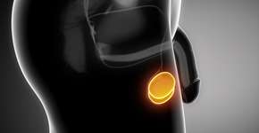 Foto: (CLIPAREA/Deposit Photos)