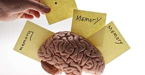 Foto: (DebbiSmirnoff/istock)