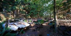 Na Bélgica, floresta abriga cemitério de carros abandonados após Segundo Guerra