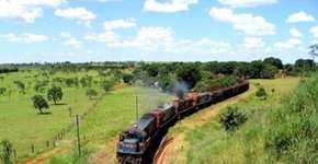 Foto: (Imagem sem texto alternativo disponivel ID [958695])