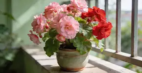 Foto: (Imagem sem texto alternativo disponivel ID [2724810])