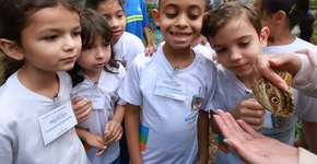 Borboletário de Diadema completa 20 anos e amplia dias de visitas