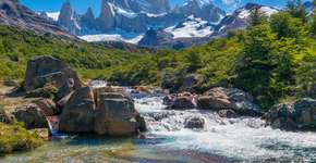 Foto: (NidoHuebl/iStock)