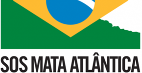 Contra queimadas no Brasil, famosos adotam emoji de fogo no nome