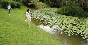 Foto: (Imagem sem texto alternativo disponivel ID [1894794])