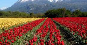 Foto: (Divulgação/Secretaría de Turismo de Esquel)