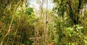 São Paulo inaugura maior trilha urbana com 182 km de extensão