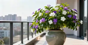 A árvore que pode ser cultivada em vaso e perfuma todo o jardim